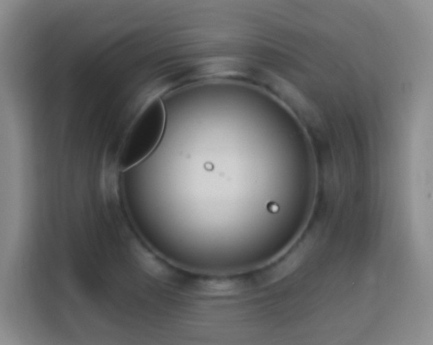 X0000113961177200910021520