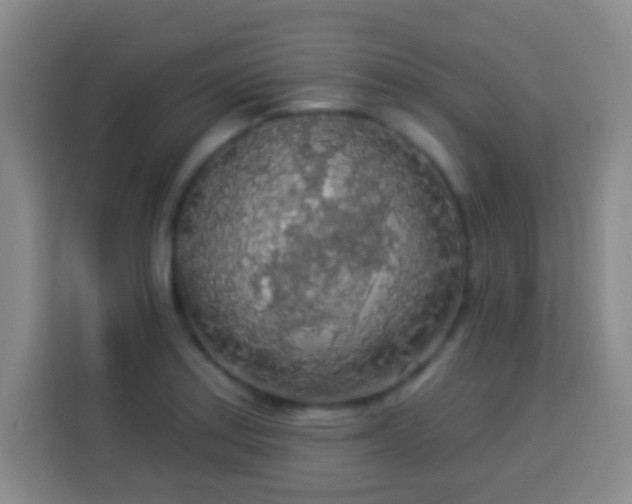 X0000113961179200910021520