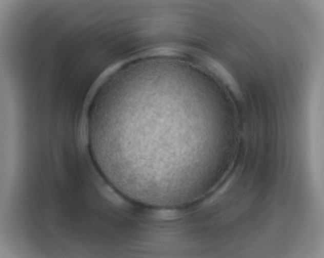 X0000113961180200910021520