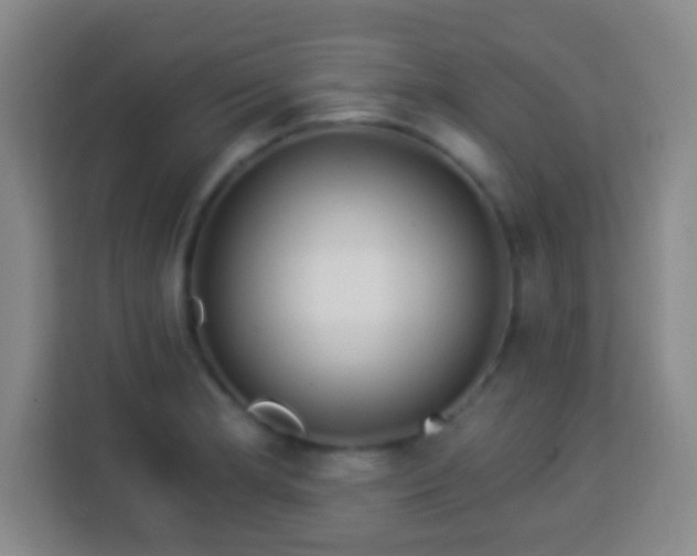 X0000113961181200910021520