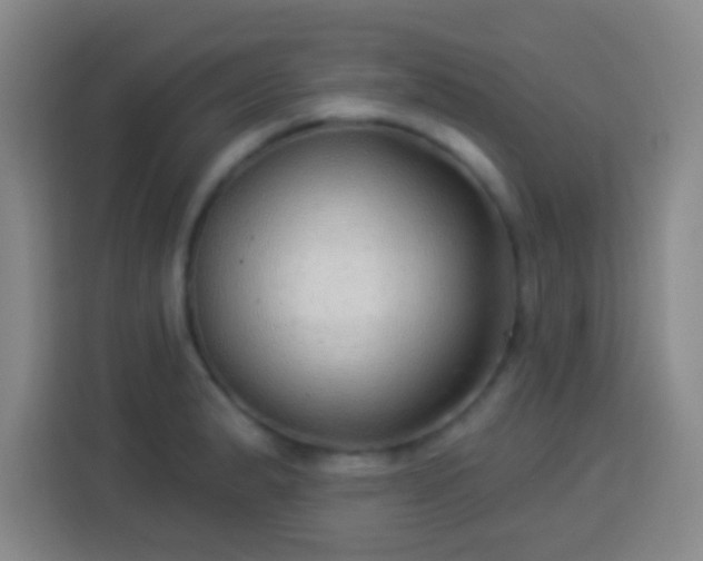 X0000113961183200910021520