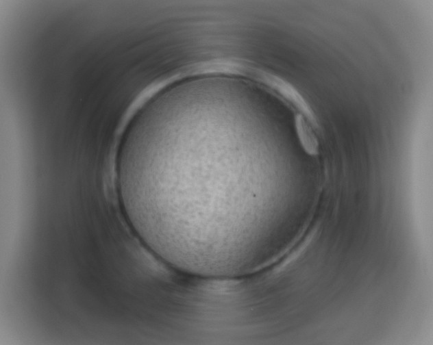 X0000113961184200910021520