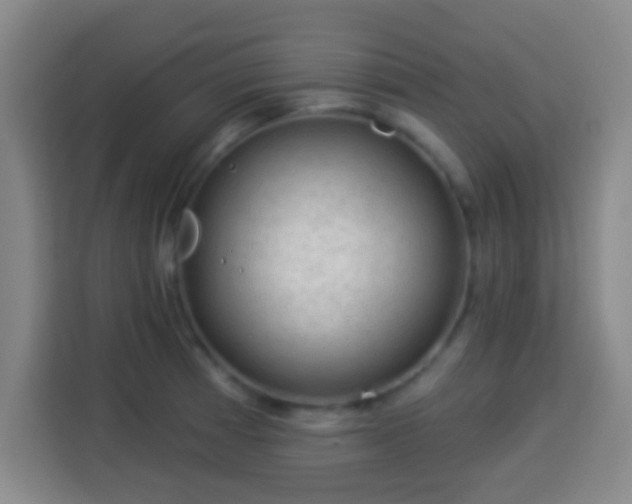 X0000113961185200910021519