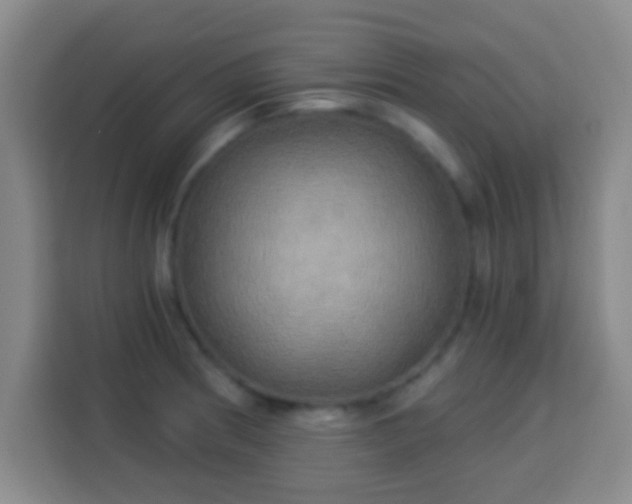 X0000113961186200910021519