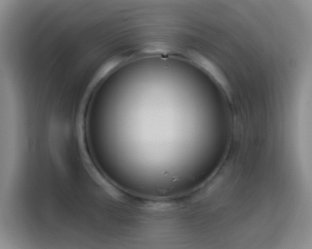 X0000113961187200910021519