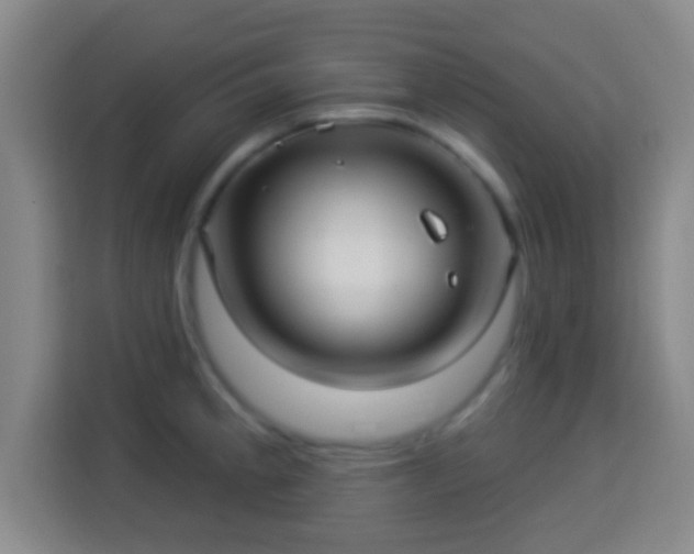 X0000113961189200910021519