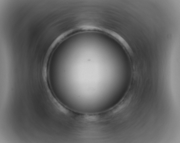 X0000113961191200910021519