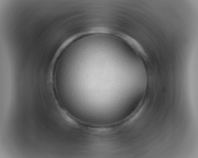 X0000113961192200910021519