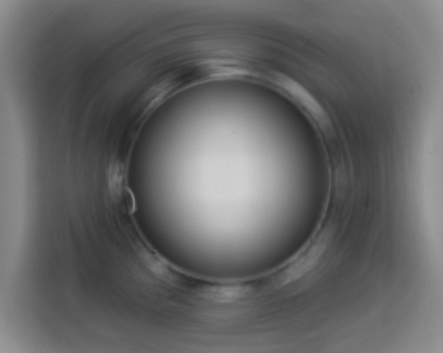 X0000113961193200910021519