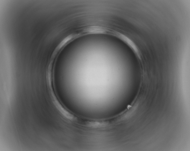 X0000113961195200910021519