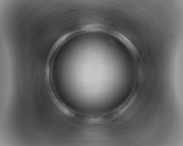 X0000113961196200910021519