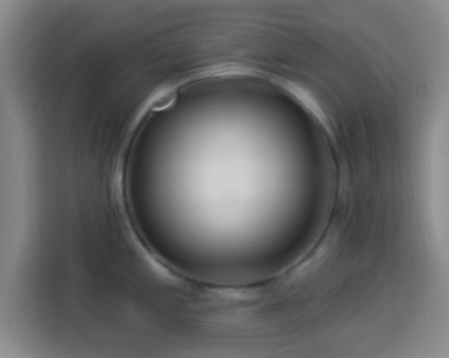 X0000113961197200910021519