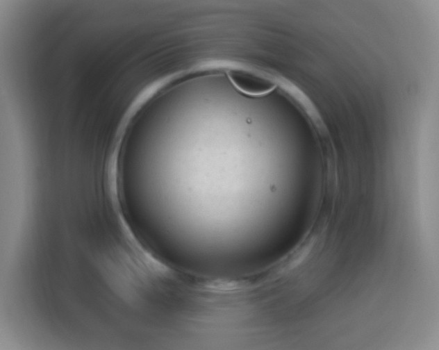 X0000113961199200910021519