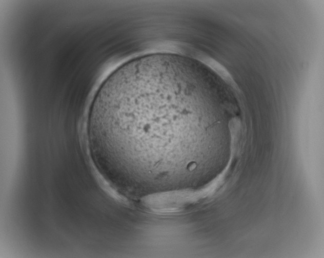 X0000113961200200910021519