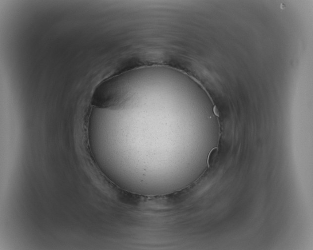 X0000113961201200910021519