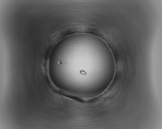 X0000113961202200910021519