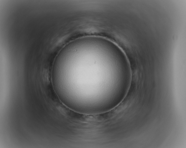 X0000113961205200910021519