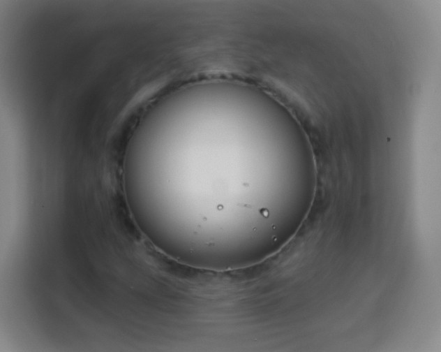 X0000113961207200910021519