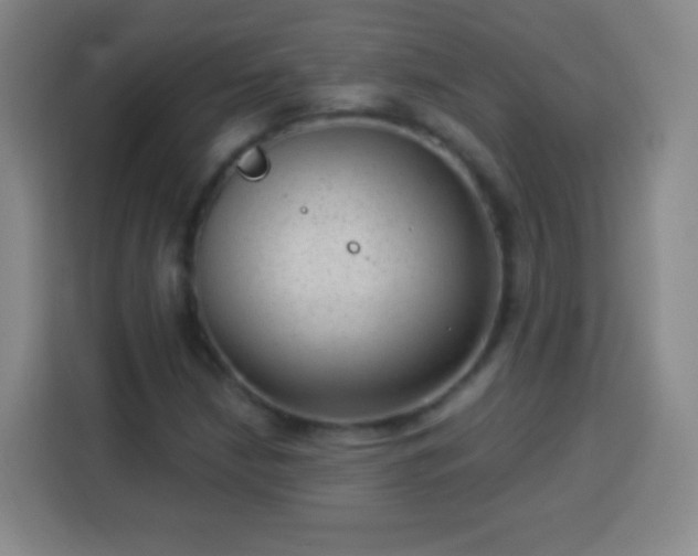 X0000113961210200910021519