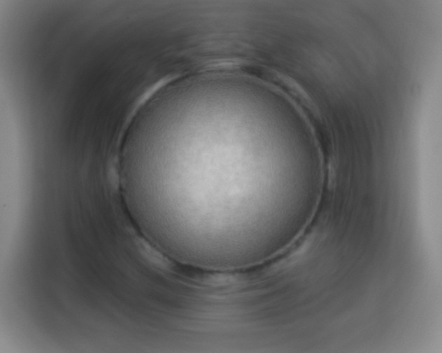 X0000113961212200910021519