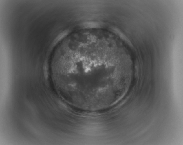 X0000113961213200910021519