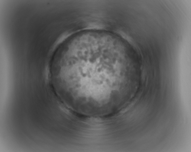 X0000113961215200910021519