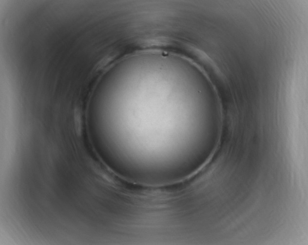 X0000113961217200910021519