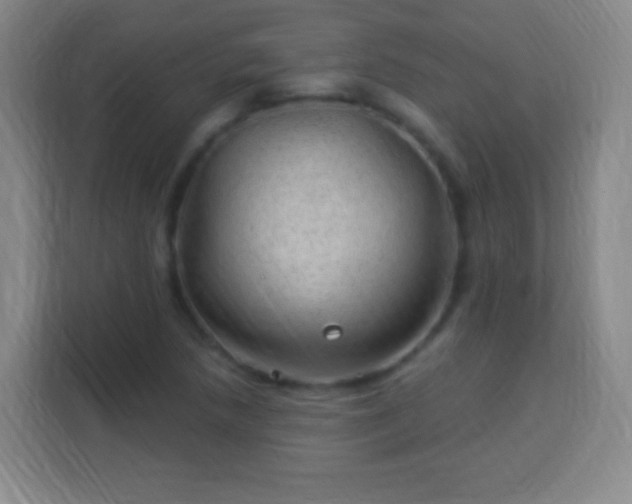 X0000113961218200910021519