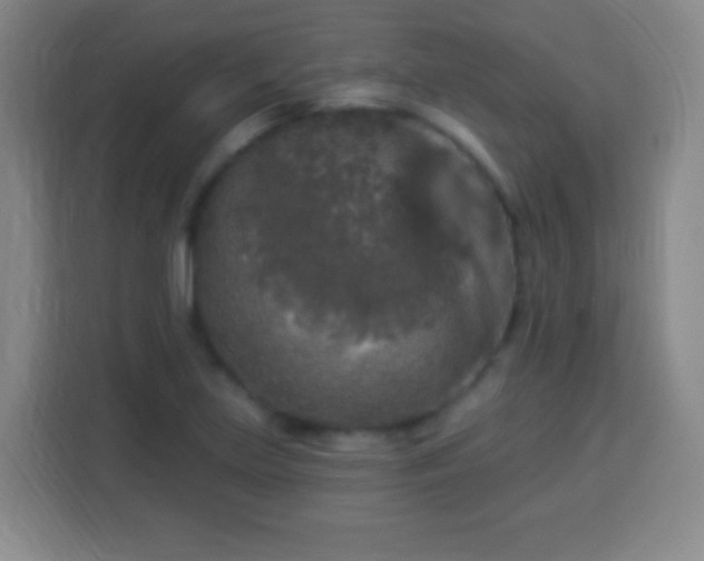 X0000113961219200910021519