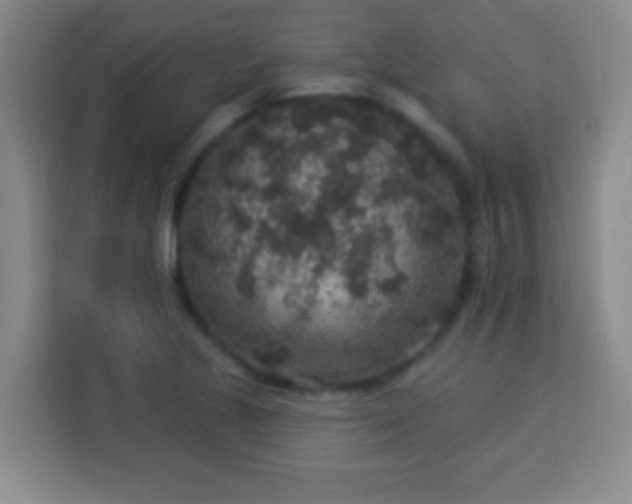 X0000113961221200910021519