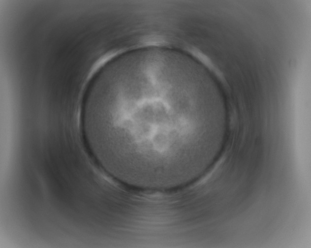 X0000113961222200910021519