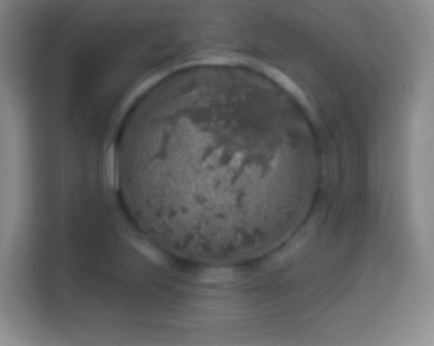 X0000113961223200910021519