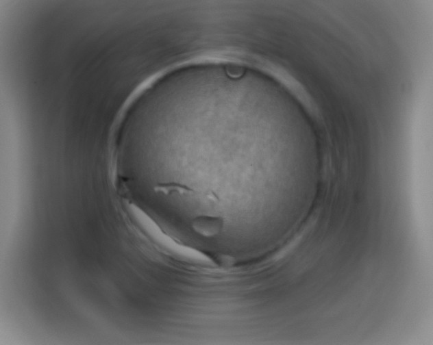 X0000113961224200910021519