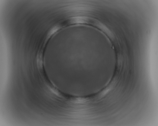 X0000113961226200910021519