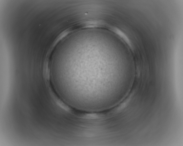 X0000113961227200910021519