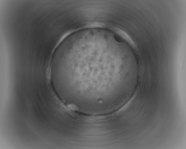 X0000113961228200910021519