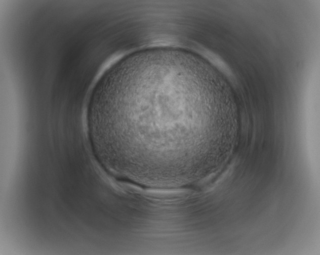 X0000113961230200910021519