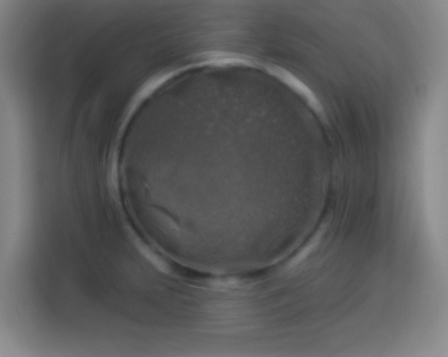 X0000113961231200910021519