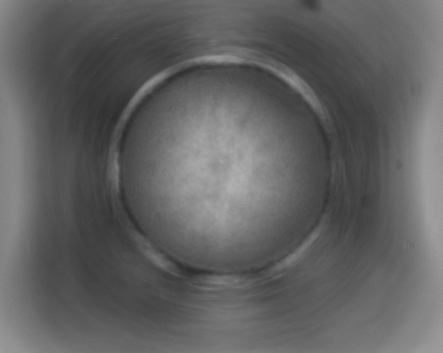 X0000113961232200910021519