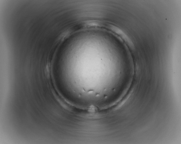 X0000113961233200910021519