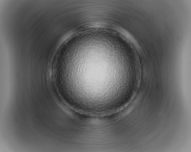 X0000113961234200910021519