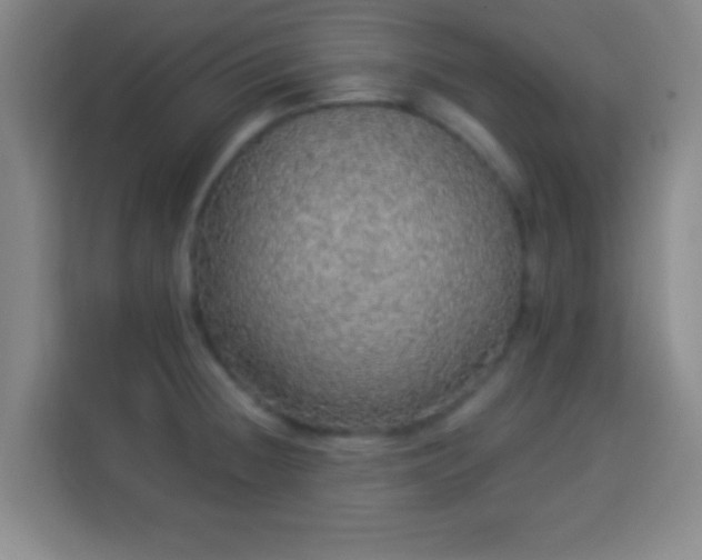 X0000113961236200910021519