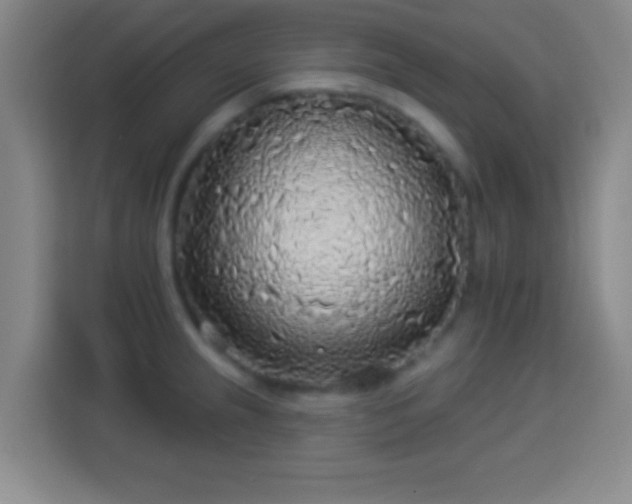 X0000113961237200910021519