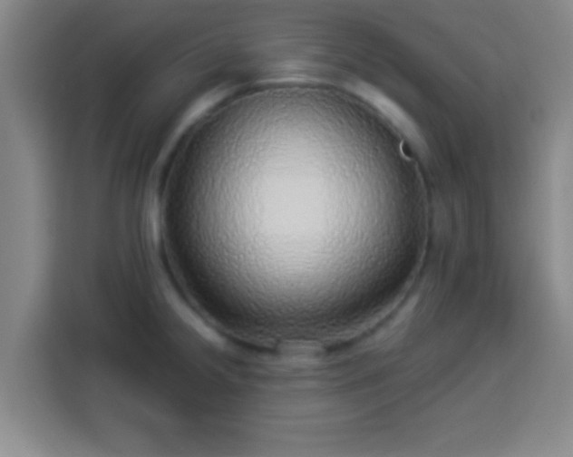 X0000113961238200910021519