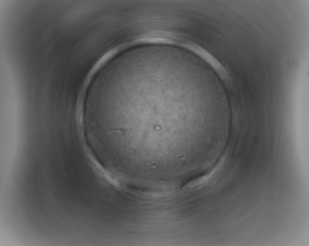 X0000113961240200910021519