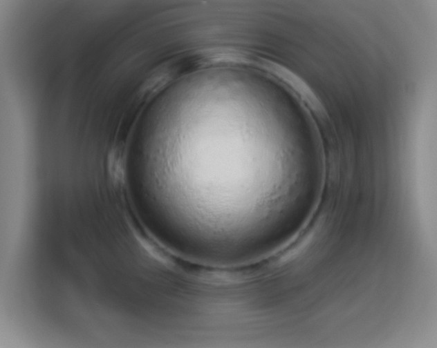 X0000113961241200910021519