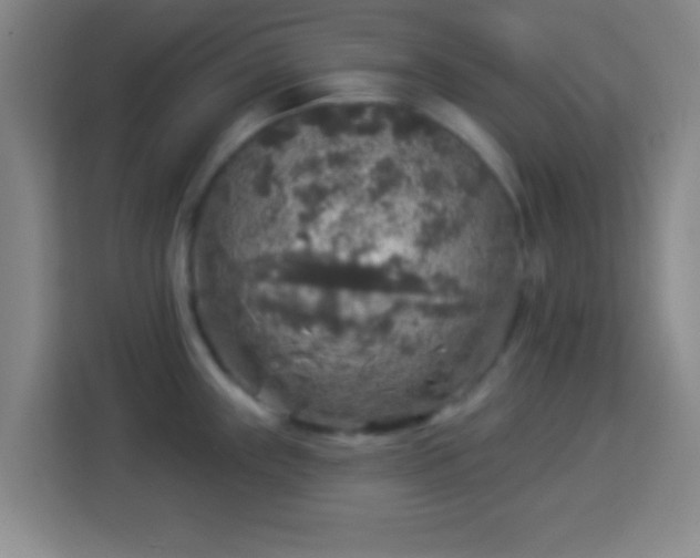 X0000113961243200910021519