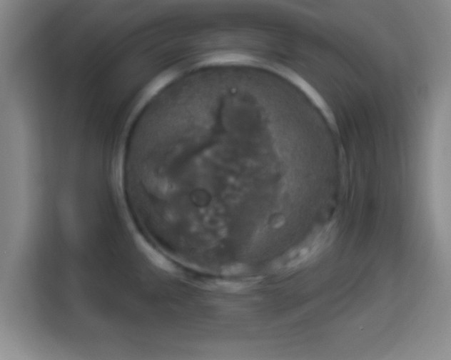 X0000113961245200910021519