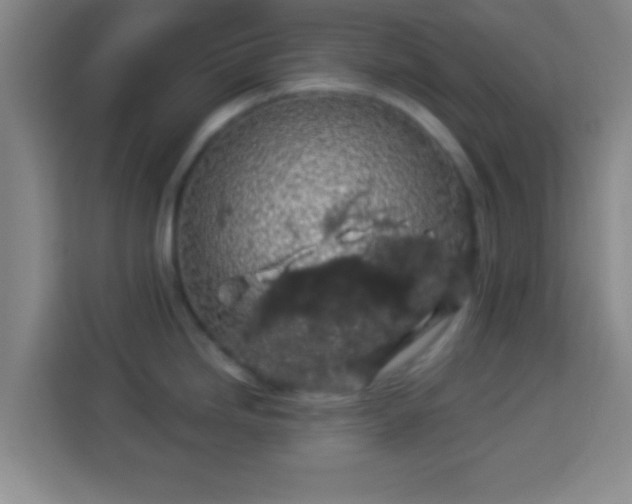 X0000113961246200910021519