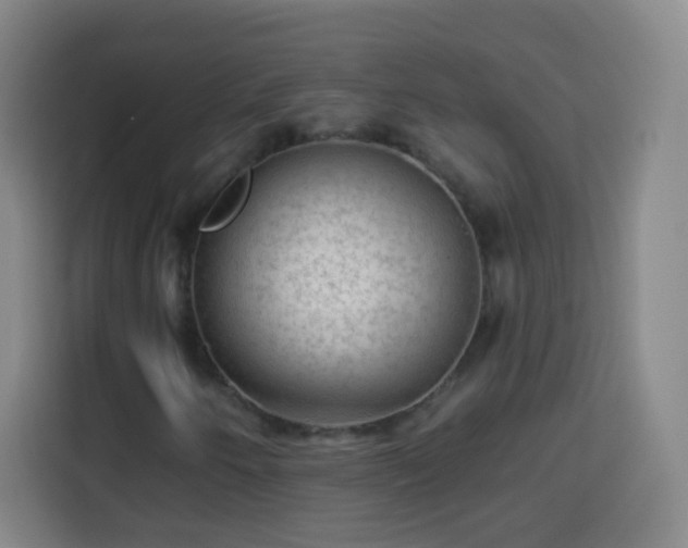 X0000113961250200910021519